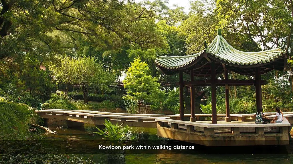 Zen Rooms Austin Road Kowloon  0*, Kowloon (Hong Kong) China